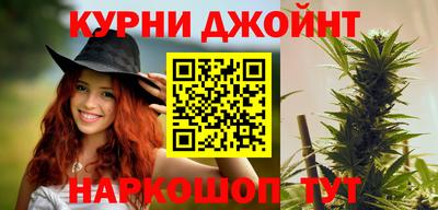 прущие грибы Канаш