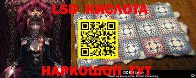 mdpv Кандалакша