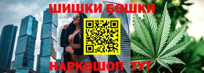 прущие грибы Канаш