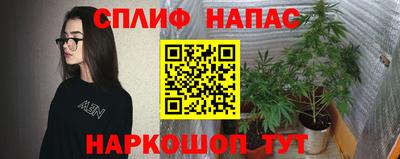 mdpv Кандалакша