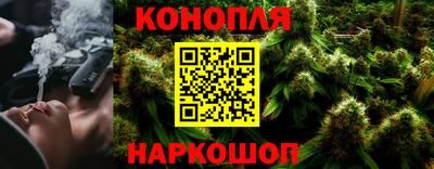 прущие грибы Канаш