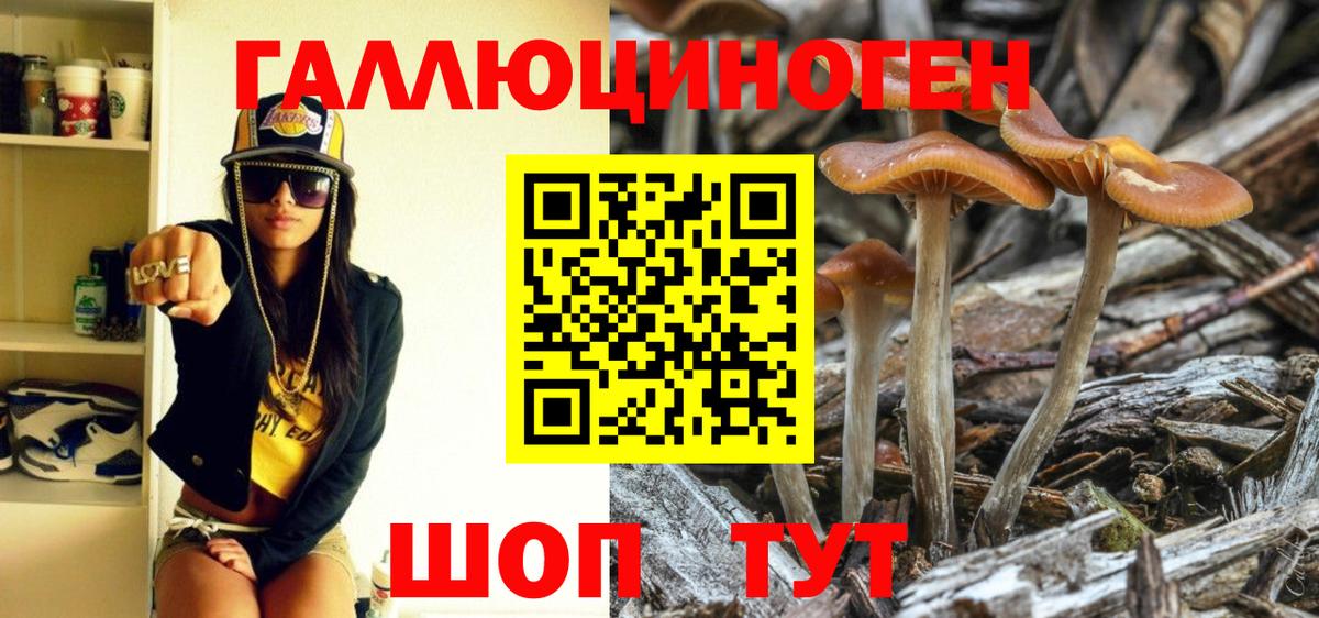 Галлюциногенные грибы прущие грибы Ялта