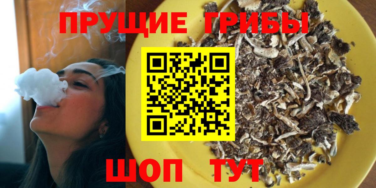 Галлюциногенные грибы MAGIC MUSHROOMS  Псилоцибиновые грибы Psilocybe  Ялта  Вход с VPN 